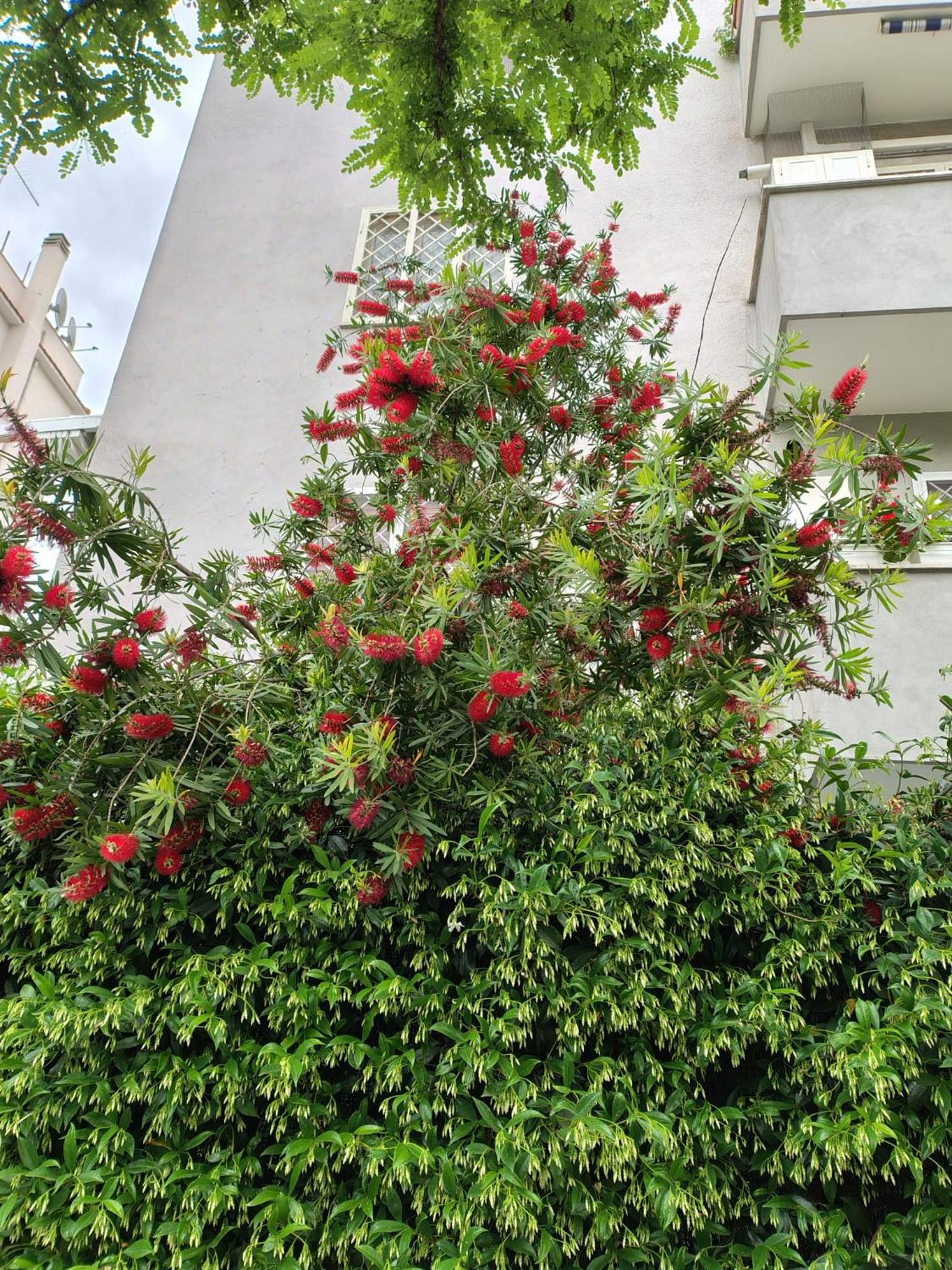 Apartamento Il Pozzo Roma Exterior foto