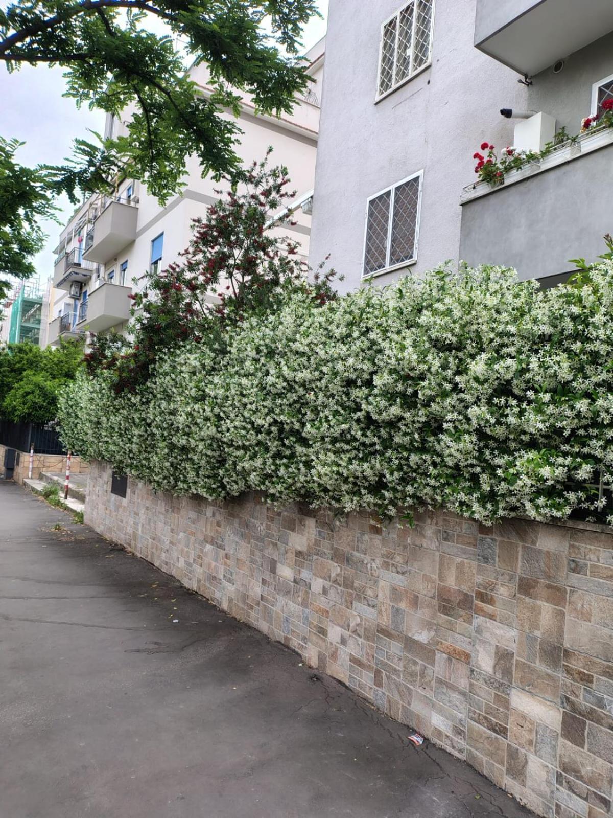 Apartamento Il Pozzo Roma Exterior foto
